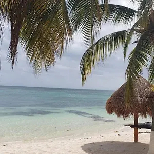 https://depa-bliss-luxurious-getaway-at-beach-paradise-cancun.quintano-roohotels.com